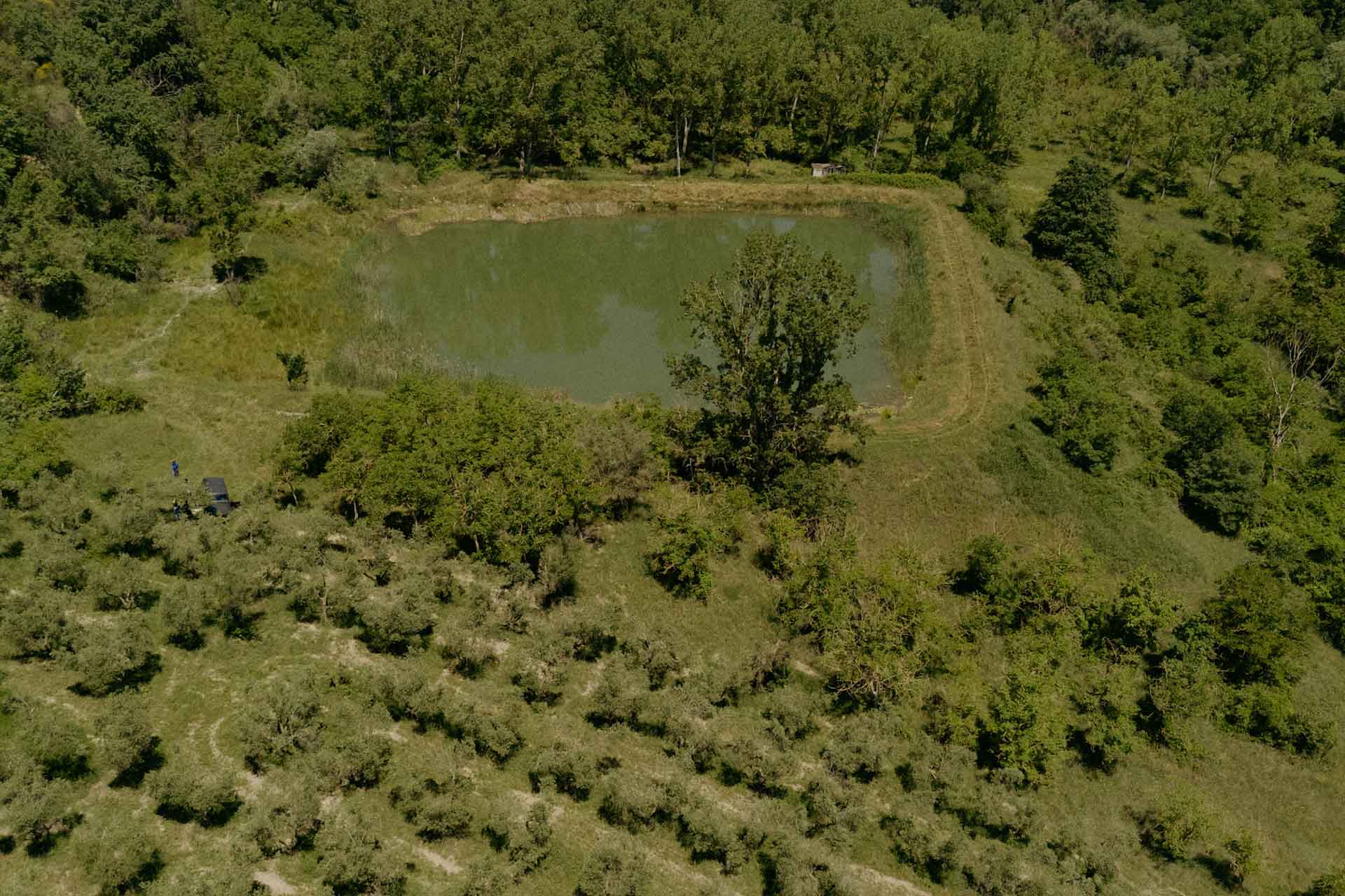 societa-agricola-di-giacinto-img-1